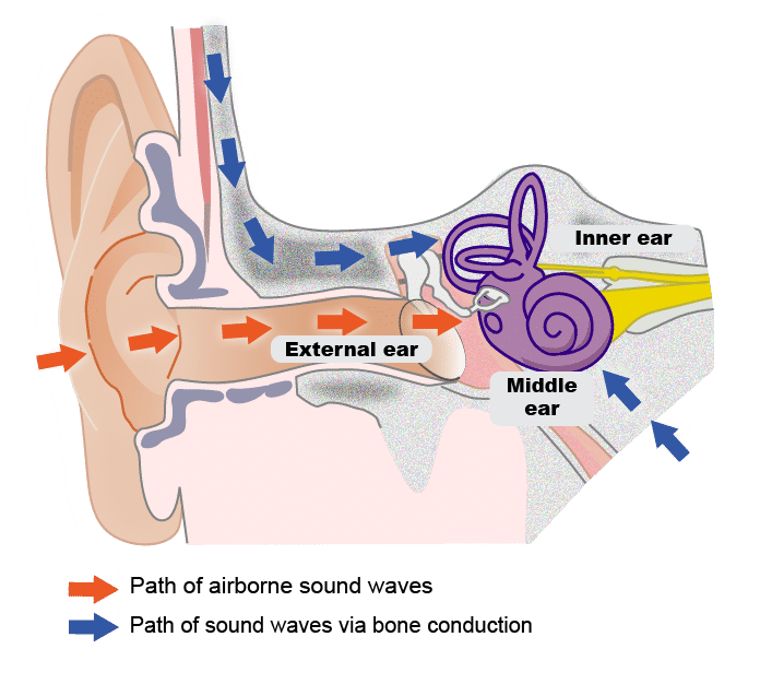 What Is Bone Conduction Headphones? Safety, Sound Leakage & Best Picks