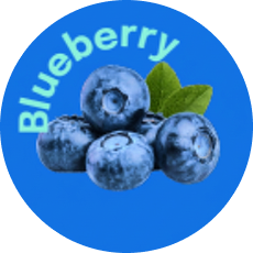 Blueberries Logo